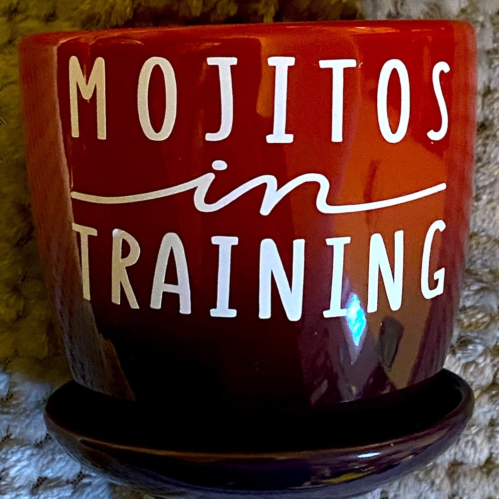 Mojitos in Training Mint Planter